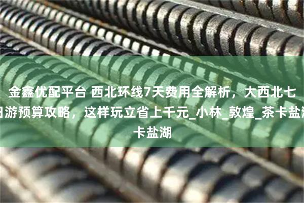 金鑫优配平台 西北环线7天费用全解析，大西北七日游预算攻略，这样玩立省上千元_小林_敦煌_茶卡盐湖