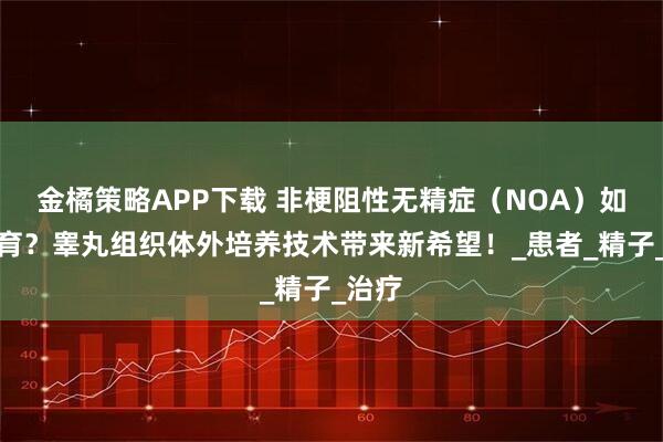 金橘策略APP下载 非梗阻性无精症（NOA）如何生育？睾丸组织体外培养技术带来新希望！_患者_精子_治疗