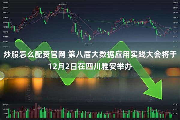 炒股怎么配资官网 第八届大数据应用实践大会将于12月2日在四川雅安举办