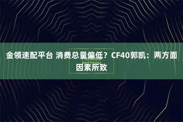 金领速配平台 消费总量偏低？CF40郭凯：两方面因素所致